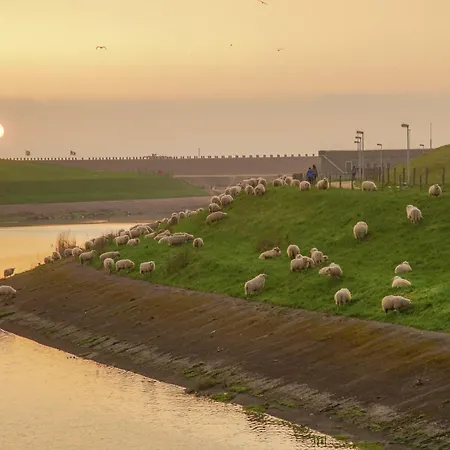 Skip Strandhuisjes Dom wakacyjny