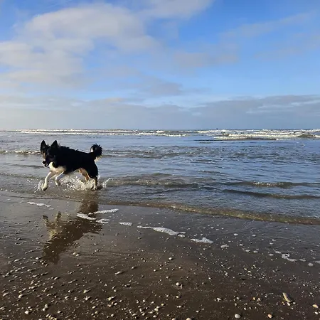 Skip Strandhuisjes 別荘