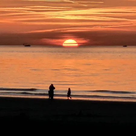 Skip Strandhuisjes Katwijk aan Zee