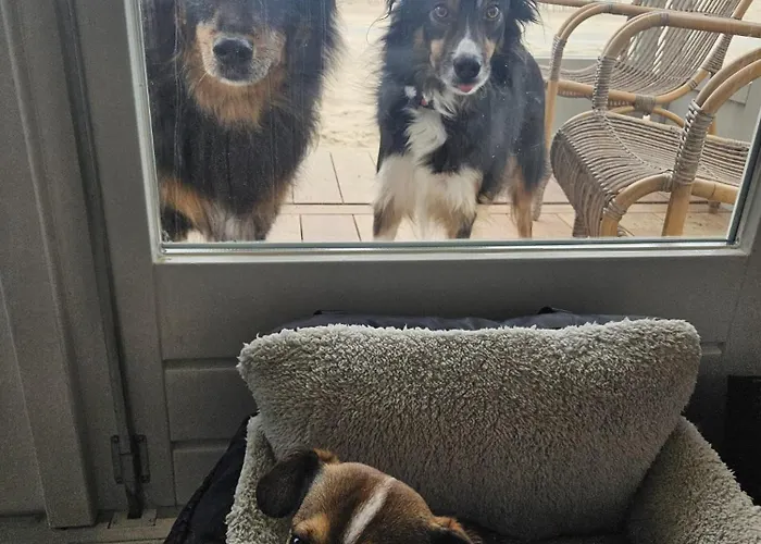 Skip Strandhuisjes * カトウェイク・アーン・ゼー