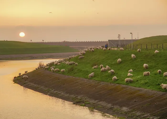 Skip Strandhuisjes Dom wakacyjny