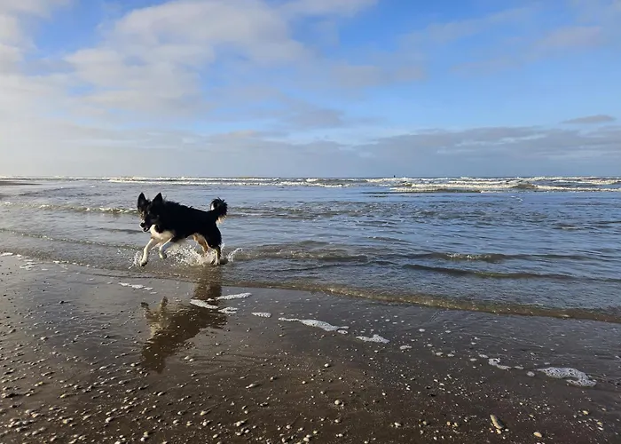 Skip Strandhuisjes 別荘