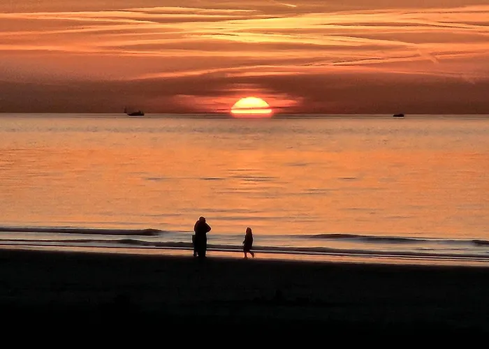 Skip Strandhuisjes Katwijk aan Zee